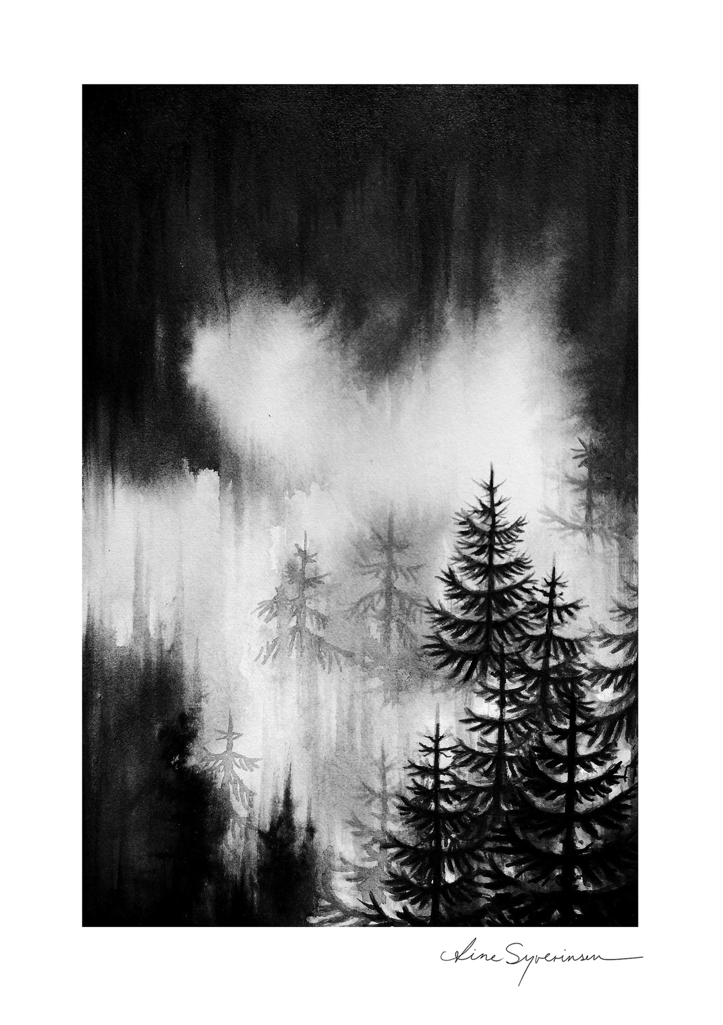 Taakeskog / Rainy Foggy Forest